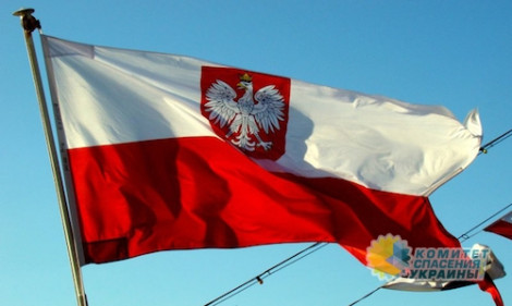 Месть за УПА: польским историкам запретили проводить поиски убитых поляков на территории Украины
