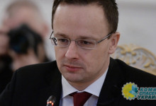 Венгрия обрушилась на ЕС с критикой за равнодушие к венграм Закарпатья