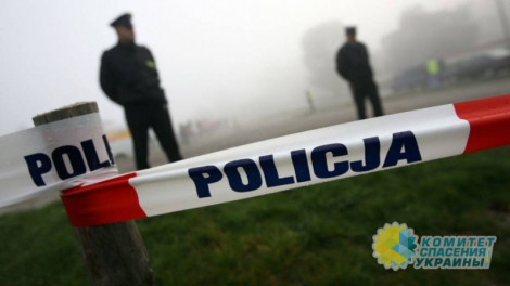 В Польше полицейские вывезли украинца в лес и избили В Польше полицейские вывезли украинца в лес и избили