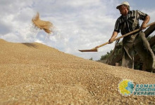 Виктор Суслов: Соглашение с ЕС окончательно превратит Украину в аграрную державу, лишив промышленности