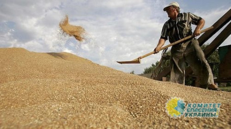 Виктор Суслов: Соглашение с ЕС окончательно превратит Украину в аграрную державу, лишив промышленности