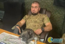 «Нацелился сбежать»