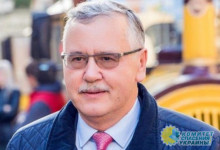 Кандидата в президенты Украины Гриценко вызвали на допрос в СБУ