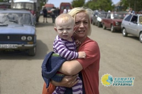 За два года войны статус беженца получило только 400 жителей Донбасса
