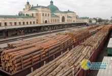 Новая стратегия безвизовых путешествий в ЕС - прикинуться деревом