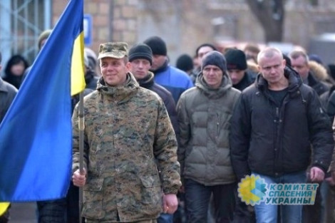 Киев перебрасывает на фронт молодых срочников и готовит новую мобилизацию