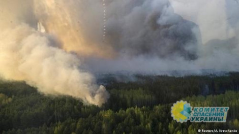 В Чернобыле горит 25 га леса
