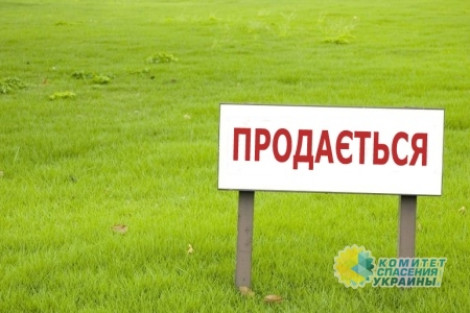 В Украине выставят на продажу черноземы за 10 миллиардов: в 50 раз ниже реальной цены