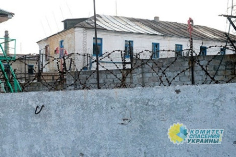 Тайные тюрьмы на  Украине - преступление киевской власти. Заявление КСУ и СППУ