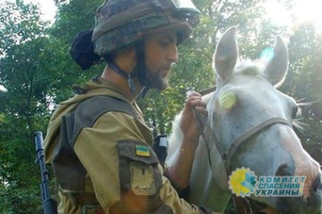 Армия безлошадников: командир ВСУ потребовал боевого коня, чтобы прогнать Путина