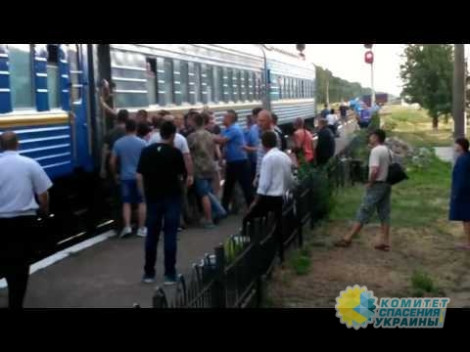 На Николаевщине соратники Тягнибока возомнили себя служителями закона и избили нескольких людей