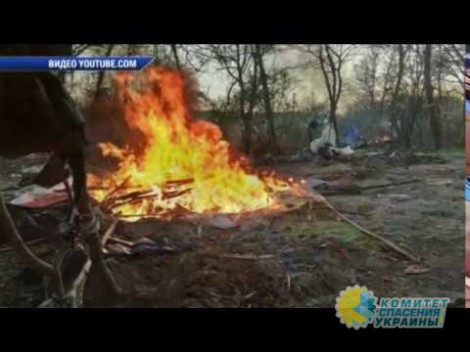 В Киеве разгромили очередной лагерь цыган: наркопритон и свалка