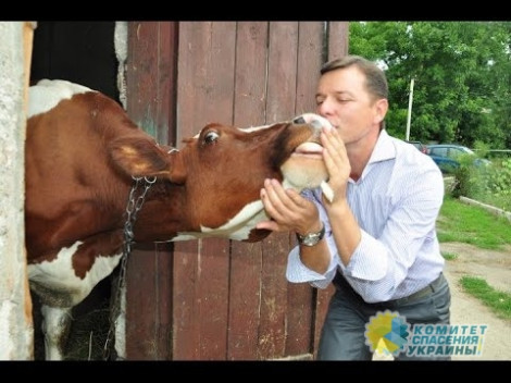 Ляшко лишают депутатской неприкосновенности