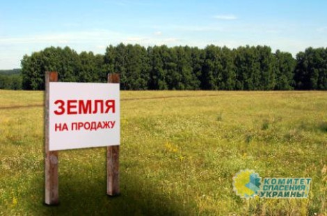 Всемирный банк приказал Украине начать торговлю землей