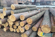 Продажа украинского леса, или Сговор за финансовые порции ЕС