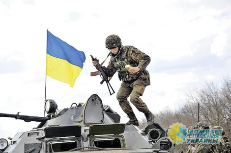 Украинских солдат продают на органы в Европу?