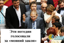 Азаров: Рада совершила очередную диверсию против единства украинского народа