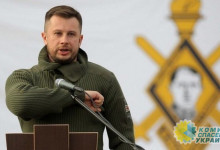 Билецкий призвал националистов к мобилизации для срыва разведения войск