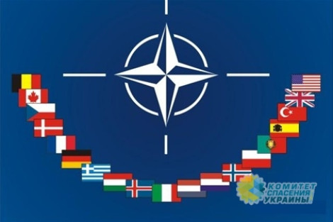 В предвкушении саммита НАТО: киевские власти готовятся идти на поклон