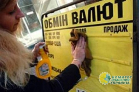 Финансовый эксперт советует украинцам скупать валюту: обвал гривны неизбежен