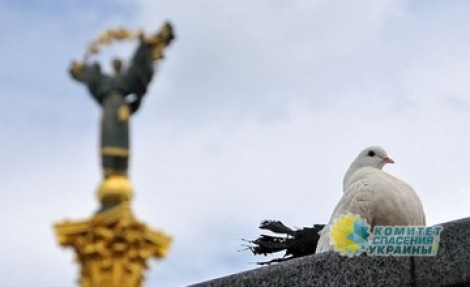 Владимир Олейник: Украине нужен мир и порядок