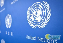 Эксперты ООН не обнаружили на Донбассе террористов