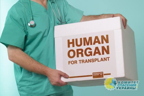 Владимир Олейник: Супрун мечтает превратить Украину в центр «трансплантационного туризма»