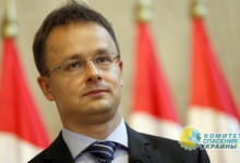 Владимир Олейник: Принятие одного закона привело к настоящей дипломатической войне