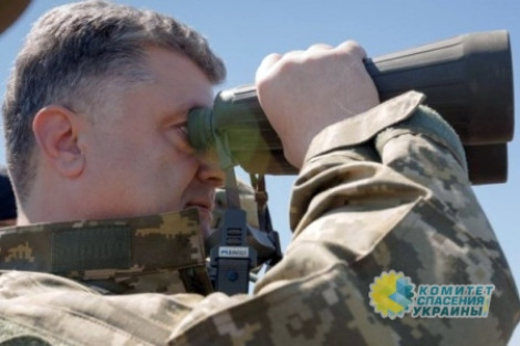 Разговоры Киева о вооруженной миссии ОБСЕ в Донбассе – «шоу для внутреннего пользования»