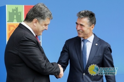 Советник по санкциям: Отставной госсекретарь НАТО перешел на кормление к Порошенко