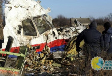Нидерланды будут расследовать причастность Украины к крушению Boeing над Донбассом