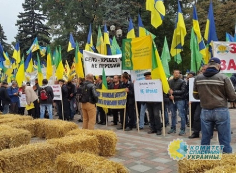 Украину ожидают наиболее масштабные за всю историю акции протеста