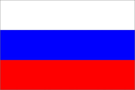 В Госдуме одобрили упрощенное получение гражданства России носителями русского языка