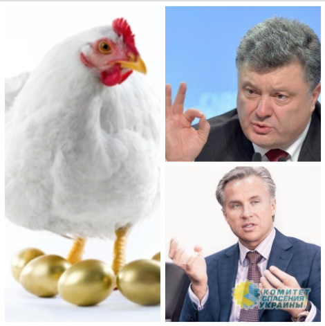 Азаров рассказал: Как нагло и нахально Порошенко и Гройсман разворовывают Украину