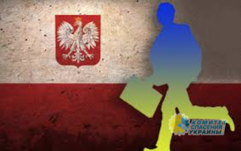 После госпереворота все больше украинцев обращаются за получением вида на жительство в Польше