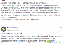 Янина Соколовская: То, что написал сайт-уродище "Миротворец" о трагедии в Кемерово - просто за гранью