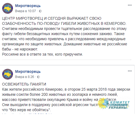 Янина Соколовская: То, что написал сайт-уродище "Миротворец" о трагедии в Кемерово - просто за гранью