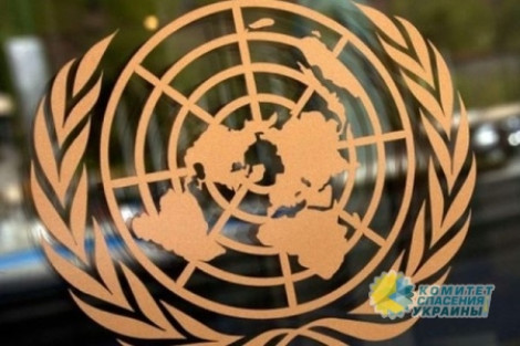 «Остановить войну»: коллективное обращение жителей ДНР в Совбез ООН и ОБСЕ