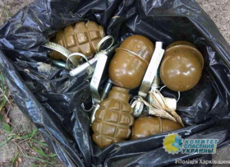 В Краматорске ребенок нашел гранаты возле школы