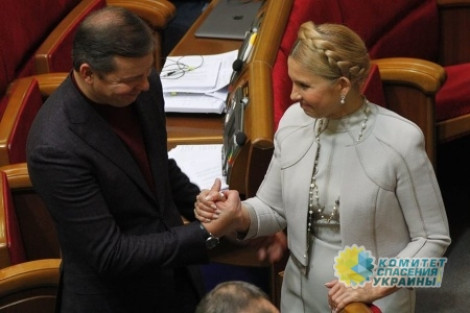 Политическая «девственность» Тимошенко и Ляшко