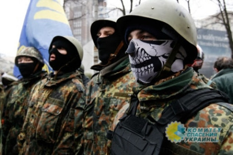 «Украинские активисты» – сказка для дураков