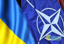 Хотят ли Украинцы в НАТО