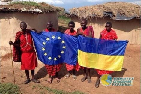 Елена Лукаш: Украина борется за места в рейтингах среди африканских стран