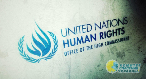 Управление ООН по правам человека обеспокоено атаками на журналистов в Украине