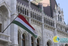 Азаров прокомментировал решение Венгрии блокировать саммит Украина — НАТО