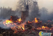 Пожар уничтожает Житомирщину